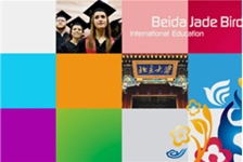 北大青鸟 Beida Jade Bird